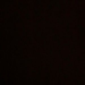 Meet your Posher, Daniela